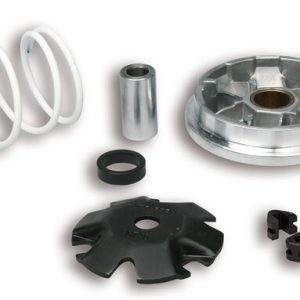 Variateur MALOSSI Multivar 2000 – Peugeot