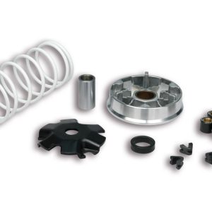 Variateur MALOSSI Multivar – Kymco