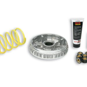 Variateur MALOSSI Multivar 2000