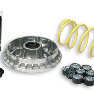 Variateur MALOSSI Multivar 2000