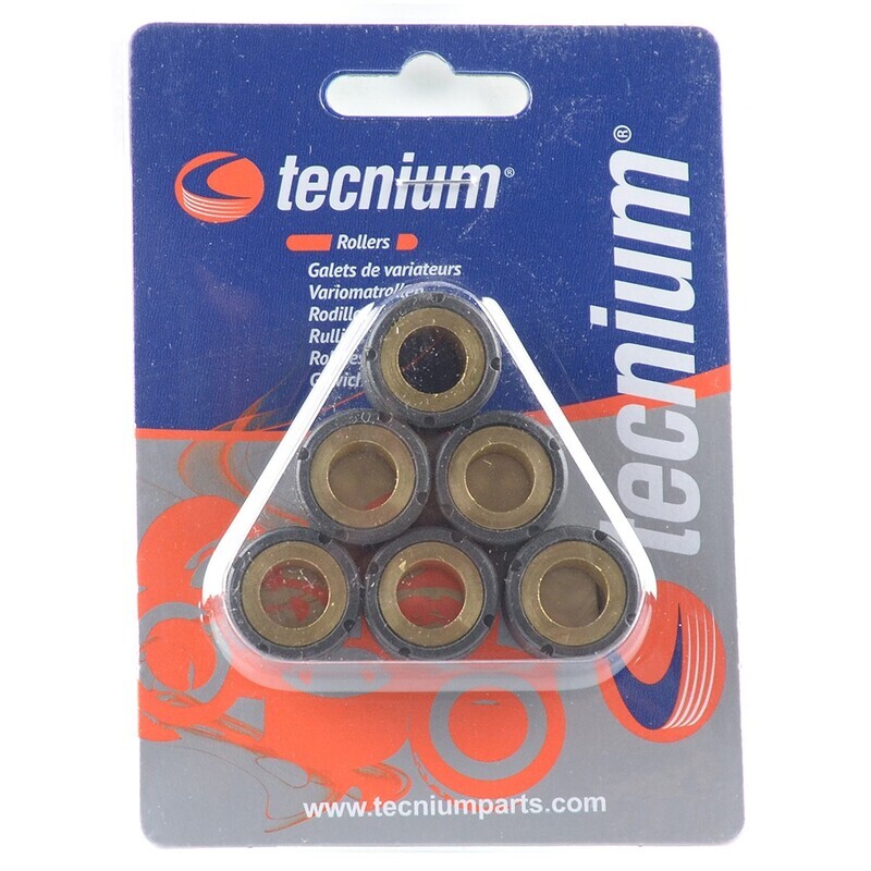 Jeu de galets TECNIUM 16x13mm 6,5gr – 6 pièces