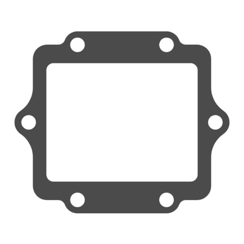 Joint de clapet VFORCE