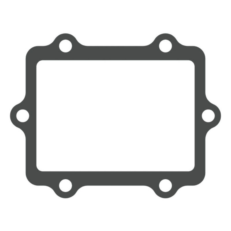 Joint de clapet VFORCE