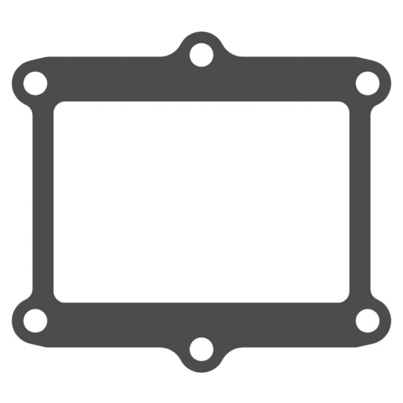 Joint de clapet VFORCE