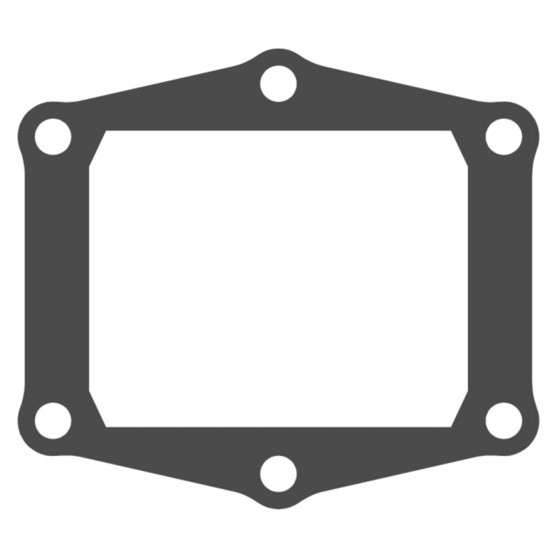 Joint de clapet VFORCE