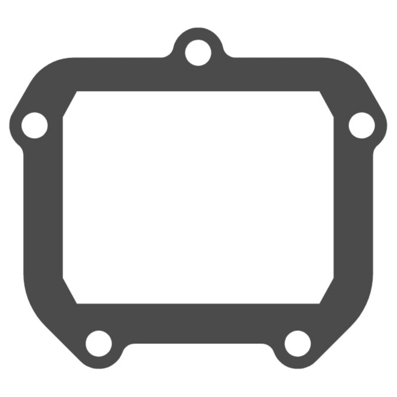 Joint de clapet VFORCE