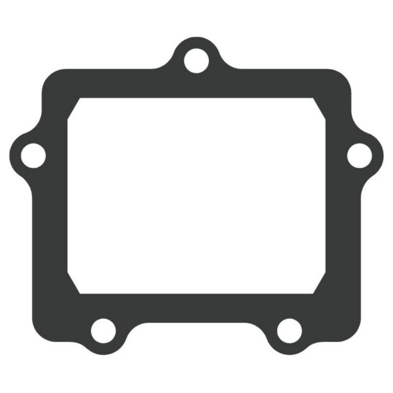 Joint de clapet VFORCE