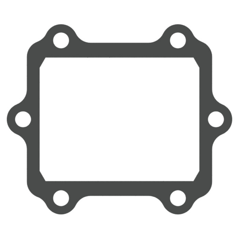 Joint de clapet VFORCE