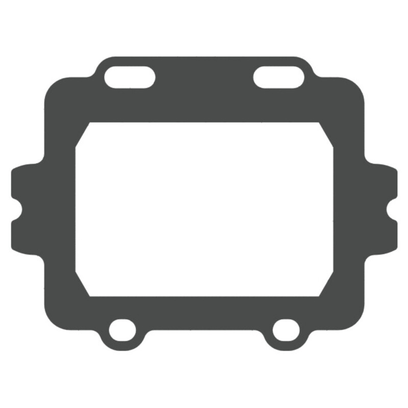 Joint de clapet VFORCE