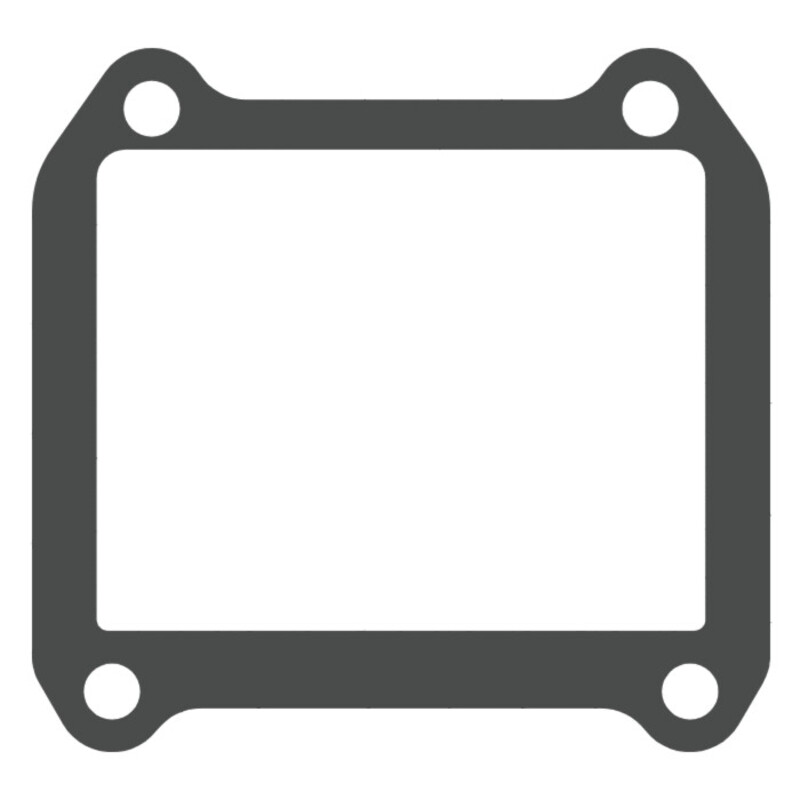 Joint de clapet VFORCE