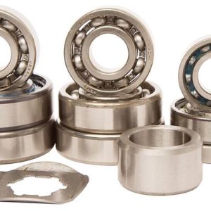 Kit roulements boîte de vitesse HOT RODS Yamaha YFM 350 Raptor