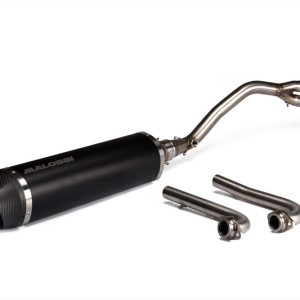 Pot d’échappement MALOSSI Wild Lion