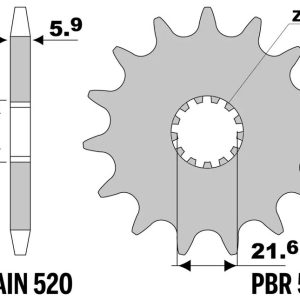 Pignon PBR acier standard – 520