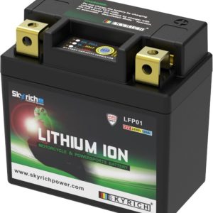 Batterie SKYRICH Lithium-Ion – LFP01