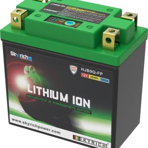 Batterie SKYRICH Lithium-Ion – LIB9