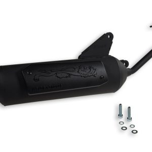 Pot d’échappement MALOSSI Wild Lion