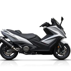 Silencieux MALOSSI Wild Lion