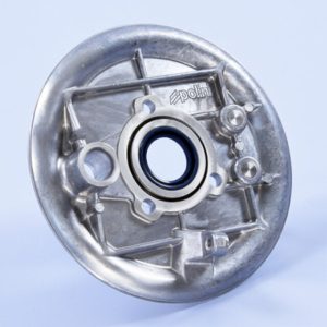 Plaque de mâchoire arrière POLINI