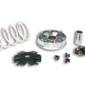 Variateur MALOSSI Multivar