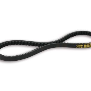 Courroie de transmission MALOSSI X Special