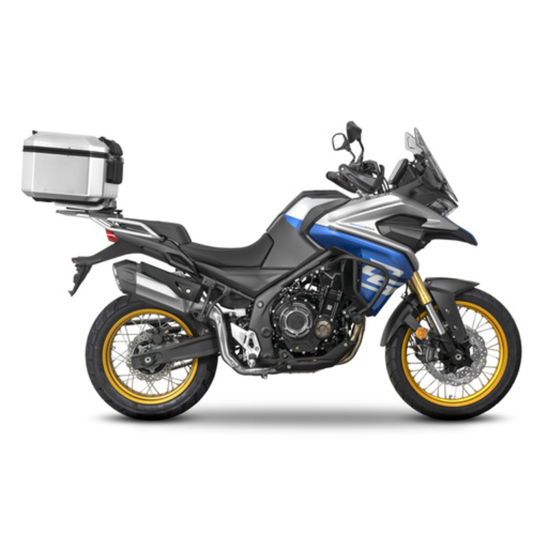 Fixation SHAD Top Master