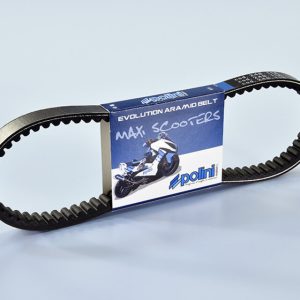 Courroie de transmission POLINI
