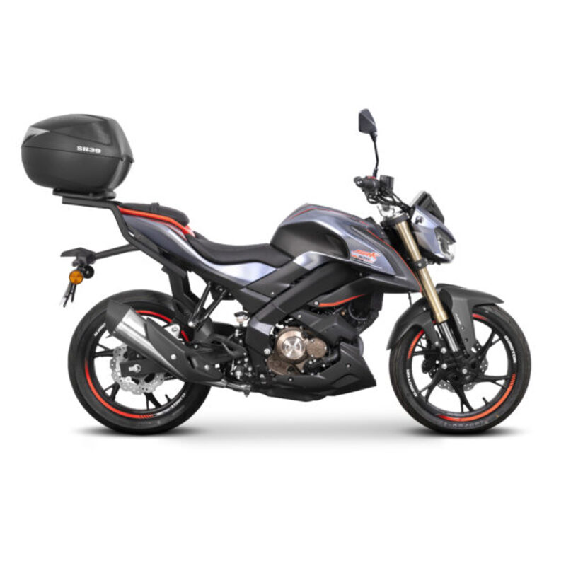 Fixation SHAD Top Master