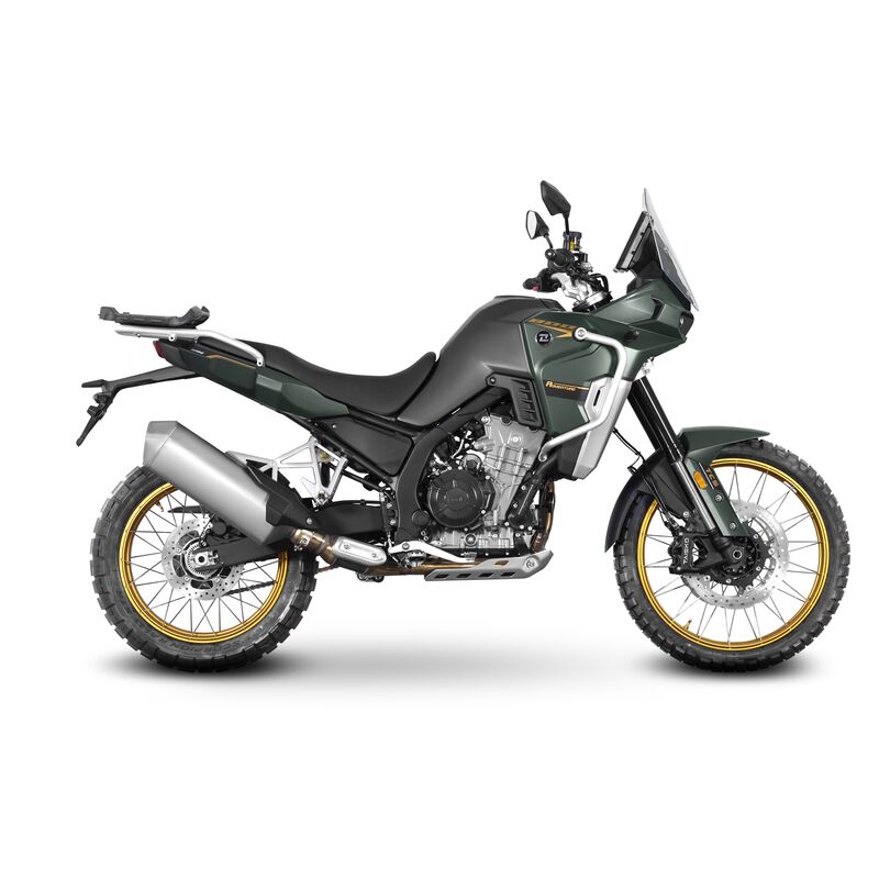 Fixation SHAD Top Master