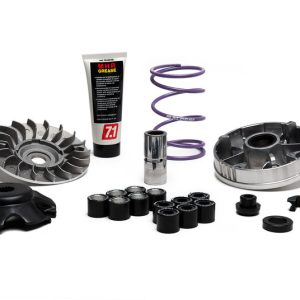 Variateur MALOSSI Multivar MHR Team 2