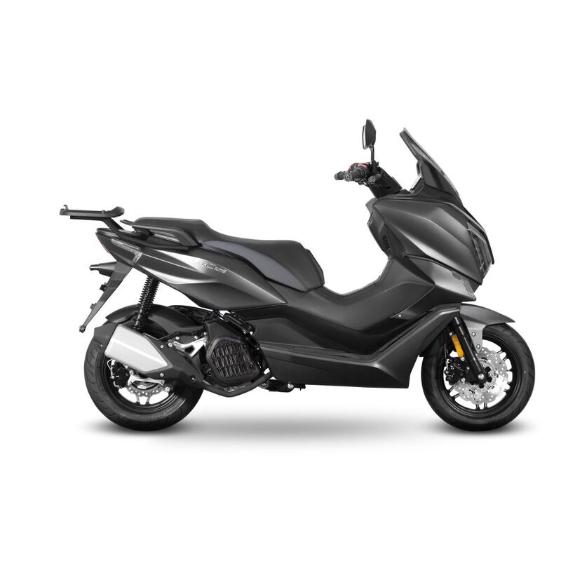 Fixation SHAD Top Master