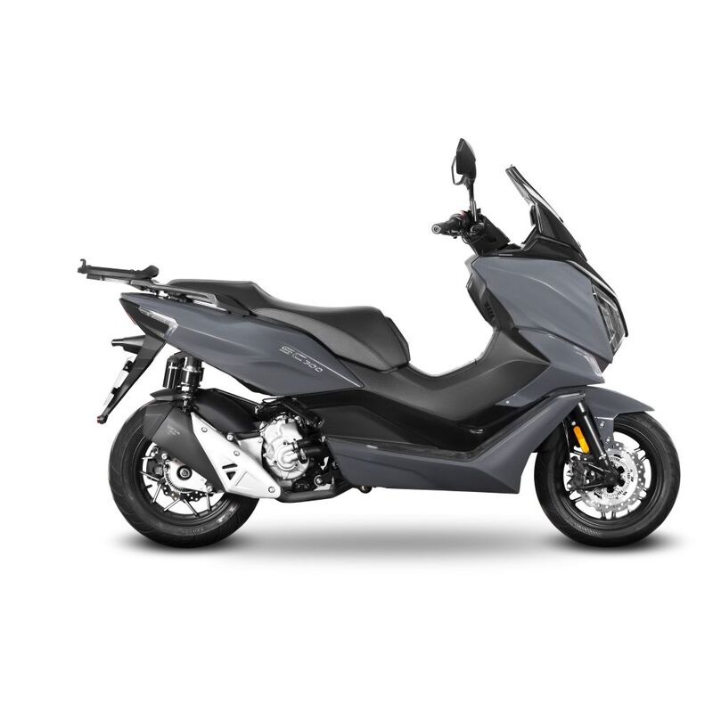 Fixation SHAD Top Master