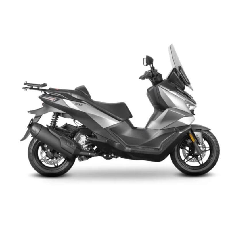 Fixation SHAD Top Master