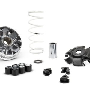 Variateur MALOSSI Multivar 2000