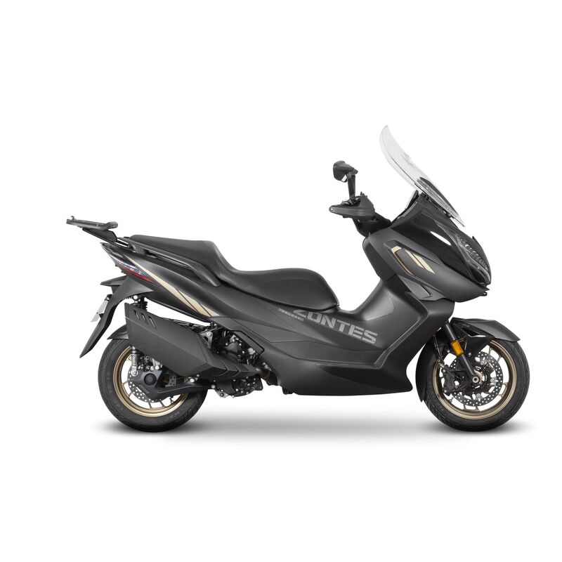 Fixation SHAD Top Master