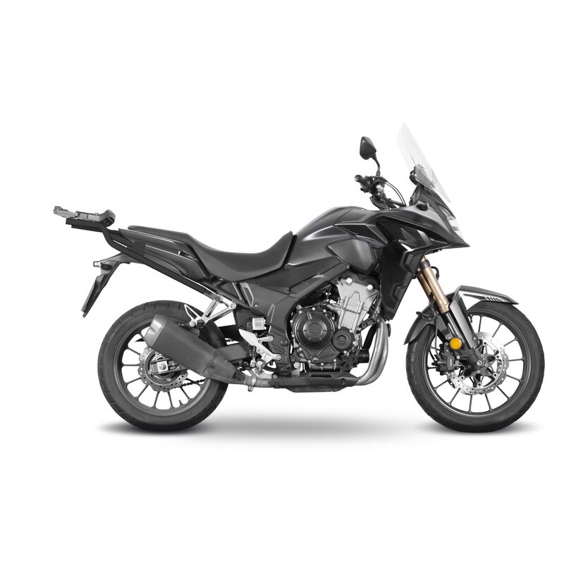 Fixation SHAD Top Master