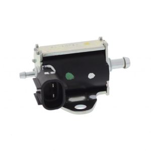 Pompe à huile électrique PLE8 DELLORTO