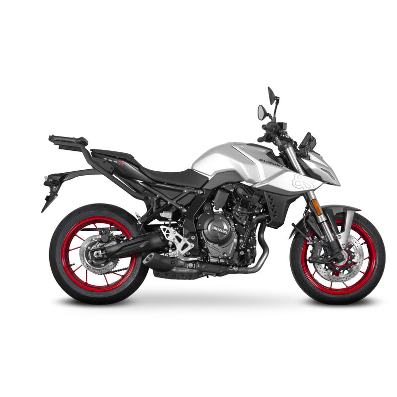 Fixation SHAD Top Master