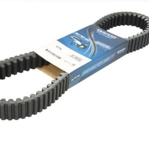 Courroie dentée intérieur et extérieur DAYCO Renforcé