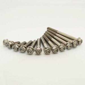 Kit vis titane SCAR M6x45 par 2