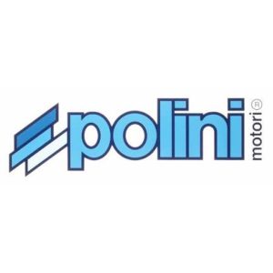 Carte-mère moteur E-P3 POLINI
