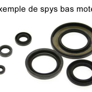 Jeu de joints spi CENTAURO