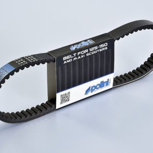 POLINI Variator Belt